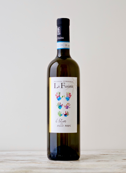 Langhe Sauvignon DOC 2023