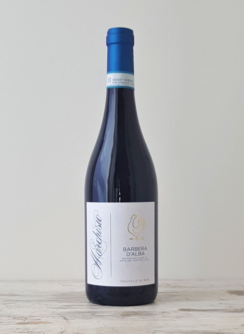 Barbera d'Alba DOC 2023