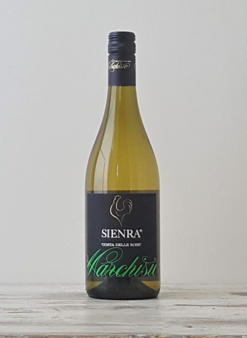 Sienra 'Coste Delle Rose' 2024