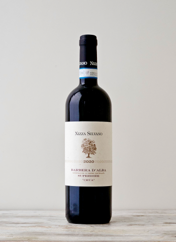 Barbera d'Alba Superiore DOC 2022